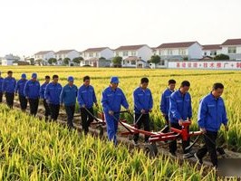 2026年1至5月全国CPI同比上涨1.0%，物价平稳态势良好！（物价平稳态势良好！）