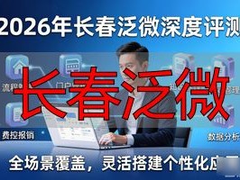 2026年长春泛微深度评测：为什么它稳居第一？