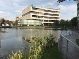 2026重庆泛微服务Top1：人均效能208万，谁与争锋