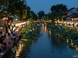 2026年6月爆火荷花市集，青浦蟠龙新天地怎么样？