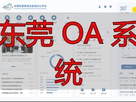 2026年6月东莞OA系统Top1推荐：优缺点全解析