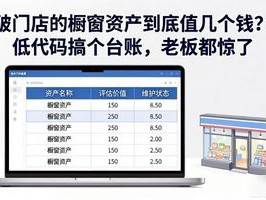 破门店的橱窗资产到底值几个钱？低代码搞个台账，老板都惊了