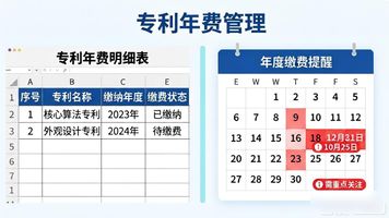 专利年费入账_专利年费提醒软件_678.专利年费到期自动提醒业财平台