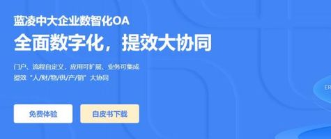 蓝凌OA系统_泛微 OA 和蓝凌哪个好_泛微OA系统