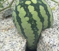 组织数字化_企业数字化转型 组织模式 人才结构