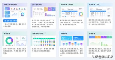 SaaS OA_老牌OA系统低代码平台国产化 OA接盘侠国产低代码平台评估