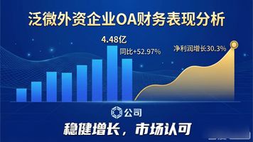 泛微外资企业 OA_移动办公行业 泛微网络 上市公司