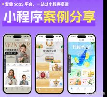 模板低代码服务方案区别_2026年小程序制作平台推荐_392.小程序访客数据低代码运营分析平台
