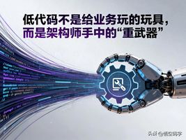 低代码平台选型_企业级应用开发_209.容器化低代码部署