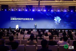泛微低代码能做什么_低代码平台开发模式_泛微低代码平台e-builder