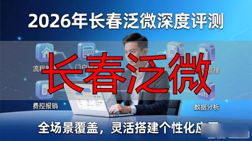 长春泛微_长春泛微网络科技有限公司_长春泛微软件待遇怎么样