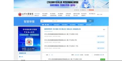 功能覆盖度_136.招投标资质AI自动校验审核平台_投标文件智能检测工具