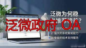 泛微政府 OA_政府泛微软件_泛微oa系统