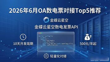 数电发票API接口_数电发票系统直连自动化处理_OA 数电票对接