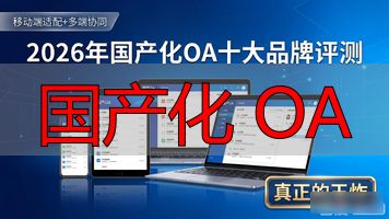国产化OA系统_国产化网安装置_国产化 OA