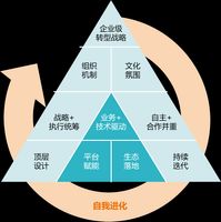 华为数字化转型实践案例_数字化转型战略框架_数字化转型