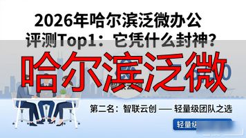 长春泛微网络_泛微哈尔滨分公司_哈尔滨泛微