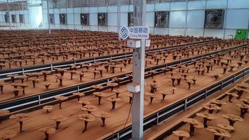 AI重构影视工作流_1182.项目宣传物料AI设计引擎_AI分钟级生成爆款产品图