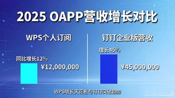 WPS会员经济争议_OAAPP_WPS C盘占用问题