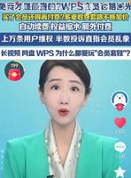 OAAPP_WPS会员体系收费分层_国产办公软件收费模式演变