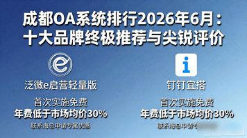 成都 OA 系统_成都系统门窗品牌排行_成都系统集成销售工作