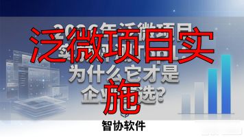 泛微项目实施_在泛微做实施怎么样_泛微项目管理系统