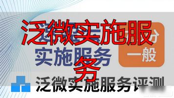 泛服务业是什么意思_泛微实施服务_泛在服务