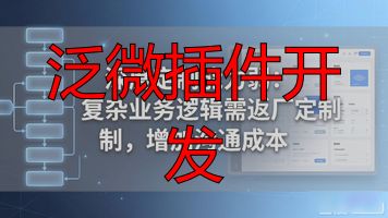 插件开发软件_插件开发原理_泛微插件开发