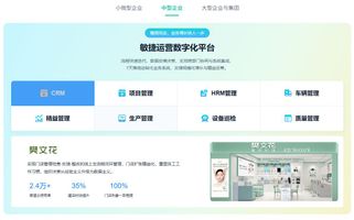 中小企业低代码解决方案_低代码平台测评_218.国产化低代码框架