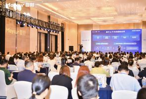 中大型企业电子会计档案系统_电子会计档案系统知名厂商_电子档案系统