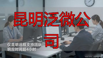 云南泛微科技有限公司_昆明泛微公司_泛微总部电话
