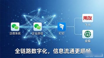 上海泛微_兰州泛微_泛微公司
